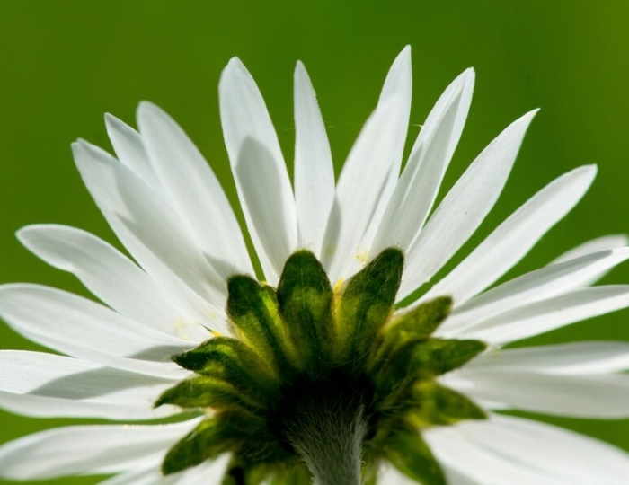 Антистресс - Санаторий «Сосны ВОС»